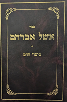 אשל אברהם -  הלכות כיסוי הדם