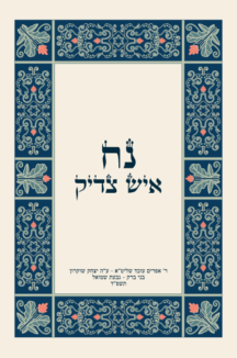 נח איש צדיק נח איש צדיק