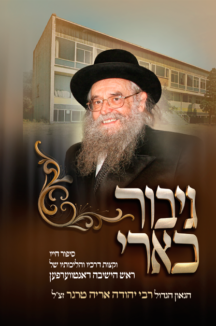 גיבור כארי שטוח גיבור כארי