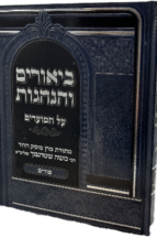 ביאורים והנהגות - חג הפורים