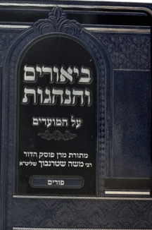 ביאורים והנהגות - חג הפורים