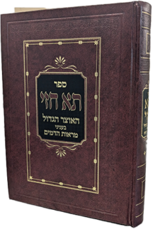 תא חזי - חלק ג