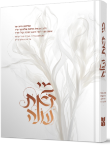 מי זאת עולה