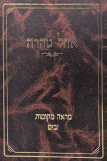 אוהל טהרה מראה מקומות - זבים