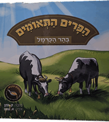 הפרים התאומים בהר הכרמל