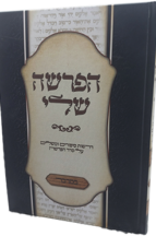 הפרשה שלי - במדבר