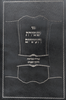 שמירת עיניים