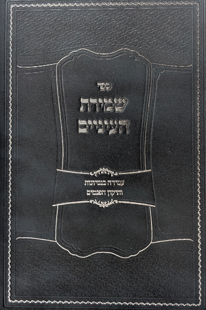 שמירת עיניים