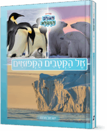 אל הקטבים הקפואים