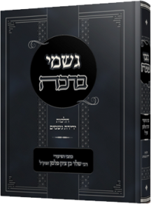 גשמי ברכה - בדיני ירידת גשמים